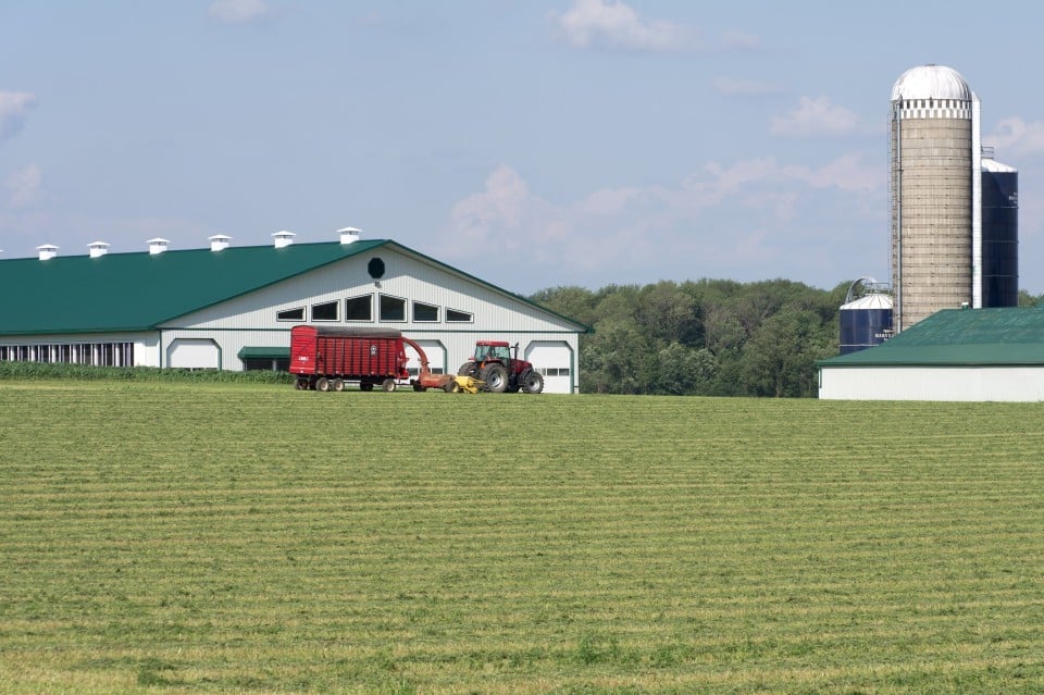 Tracteur avec une charge d'ensilage de foin dans un champ l'été.