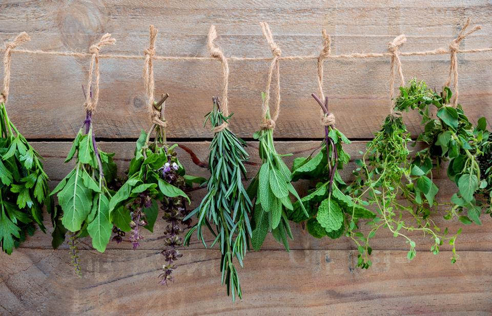 Herbs hanging to dry 