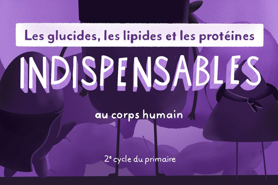 Les glucides, lipides et protéines indispensables au corps humain