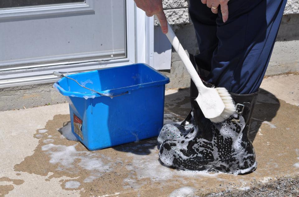 biosecurity boots