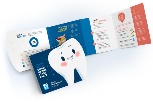 3D image of the brochure Dental Health – Good Habits Starts Early. A free, educational and engaging brochure will help you establish a good oral hygiene routine with your child.