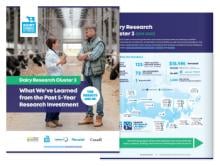Dairy Research Cluster 3 - Research Highlights