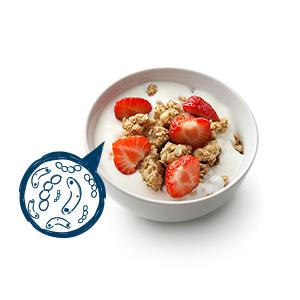 probiotic yogurt image
