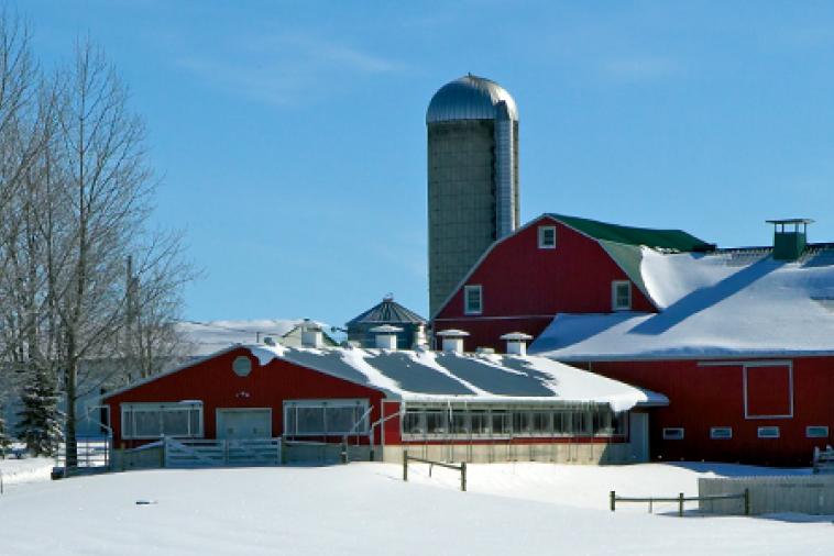 red dairy farm under the snow