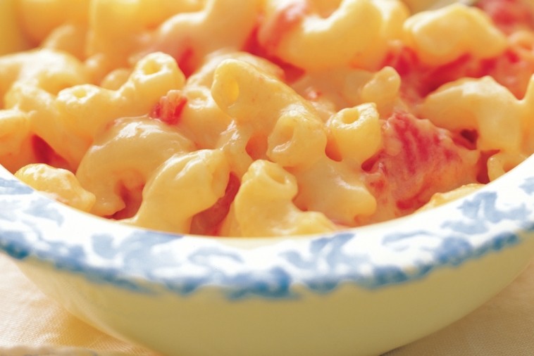 all time favourite cheese and tomato macaroni Macaroni and cheese with tomatoes