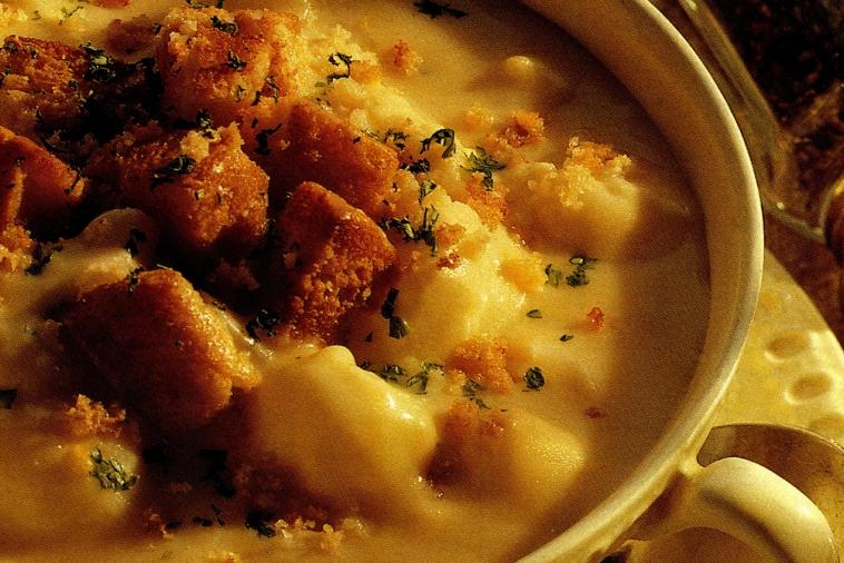 cream of cauliflower and cheddar soup