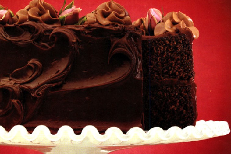 Double Fudge Chocolate Cake Canadian Goodness