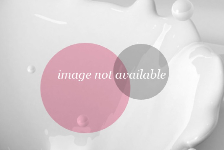 Easy, NoRoll Food Processor Pastry Canadian Goodness