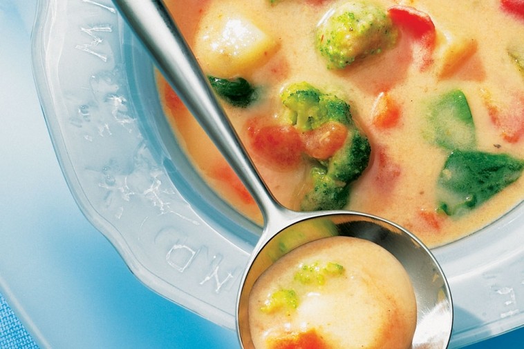 garden vegetable soup garden vegetable soup