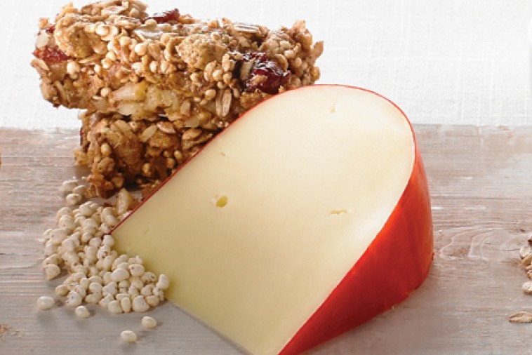 gouda granola bars gouda granola bars