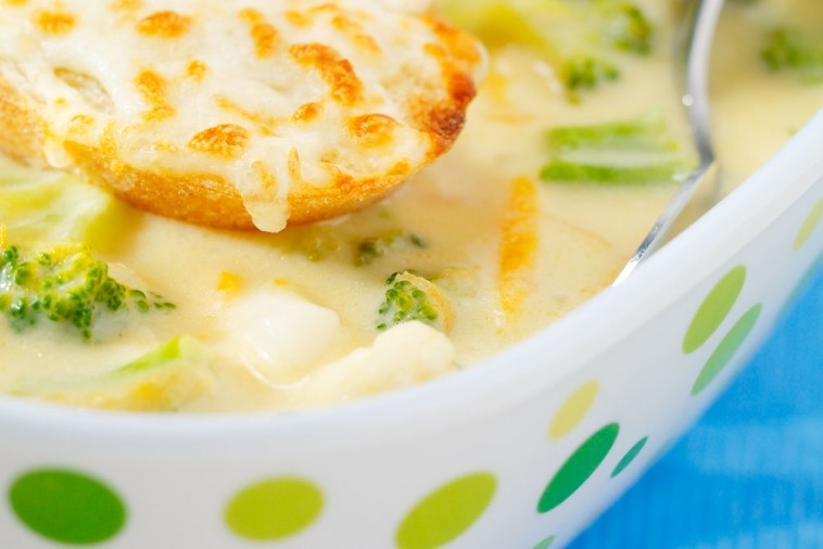 harvest cheddar and vegetable chowder