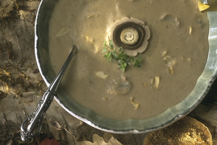 mushroom and almond cream soup mushroom and almond cream soup