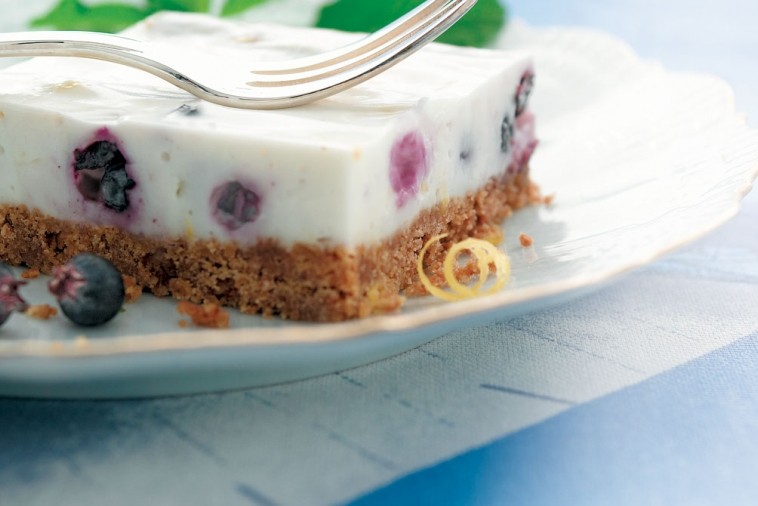 the best blueberry vanilla no bake cheesecake