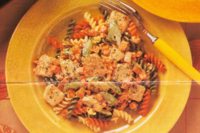turkey with tri coloured rotini turkey with tri coloured rotini