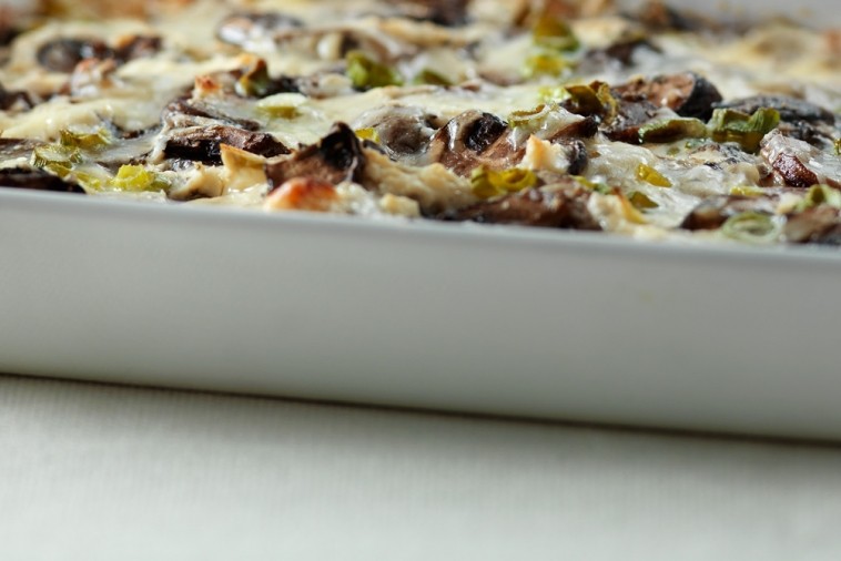 warm roasted mushroom green onion and cheddar dip