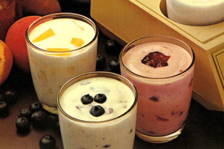 yogurt instructions for homemade yogurt instructions for homemade