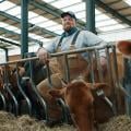 Proud dairy farmer smiles beside feeding cows, highlighting the farmer-livestock bond