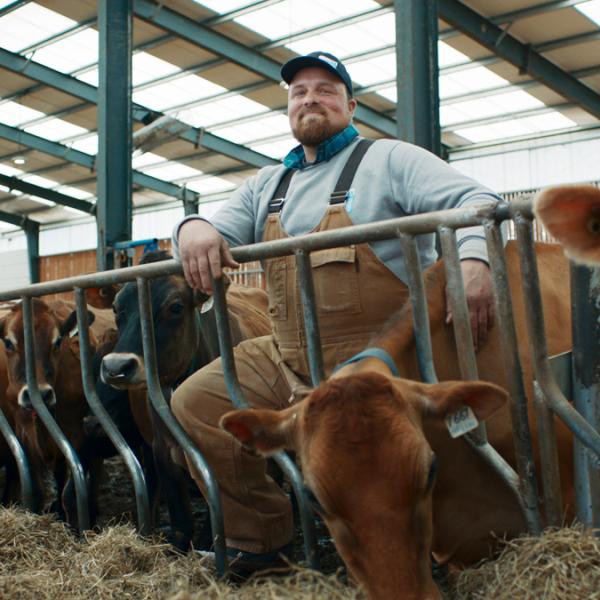 Proud dairy farmer smiles beside feeding cows, highlighting the farmer-livestock bond