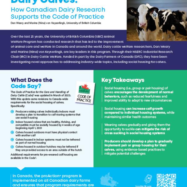 Calf social Fact Sheet