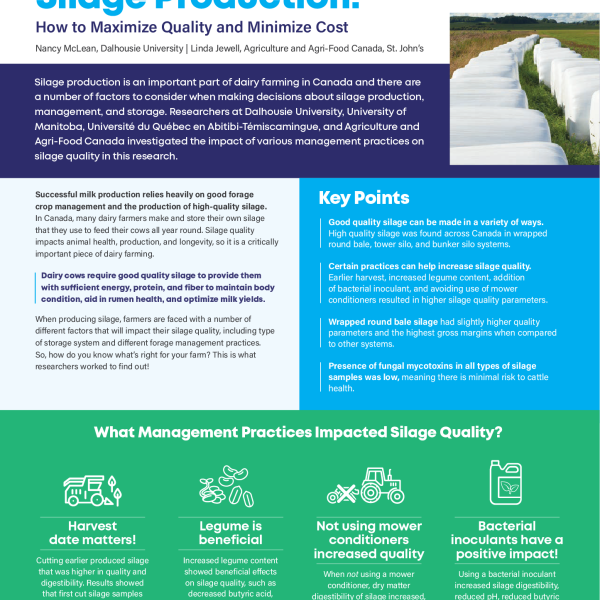 INFOGRAPHIC: Best Practices for Silage Production