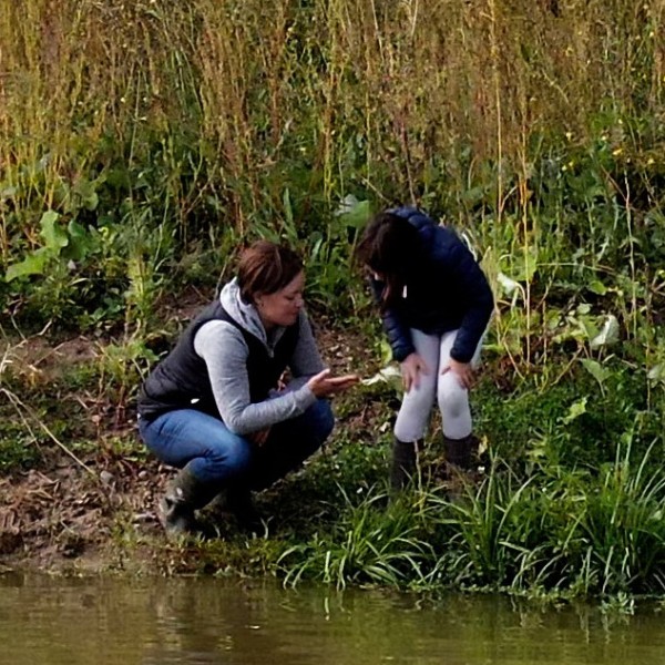 Canards Illimites