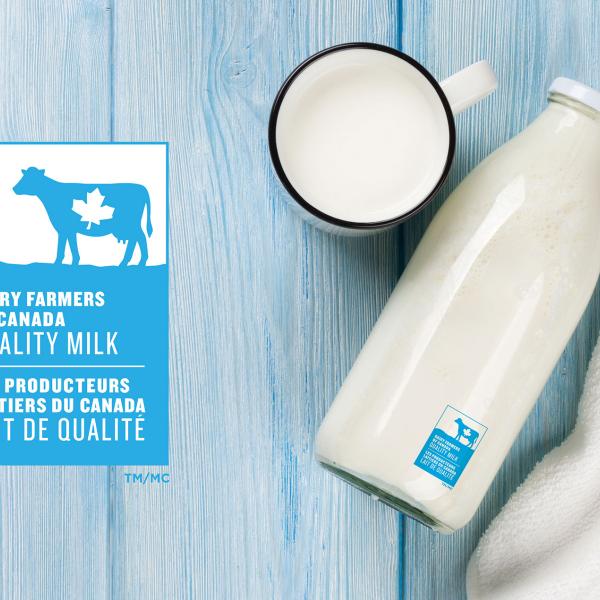 The Dairy Farmers of Canada logo is a simple way to identify products made with 100% Canadian milk and dairy ingredients.
