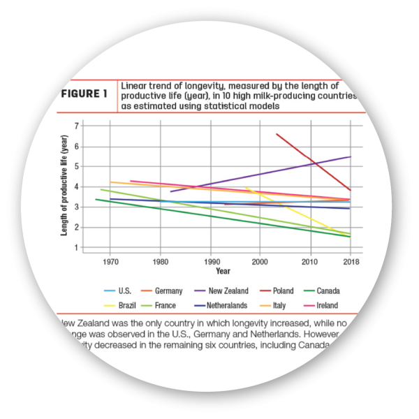 How do cow longevity, profitability and welfare complement each other? 