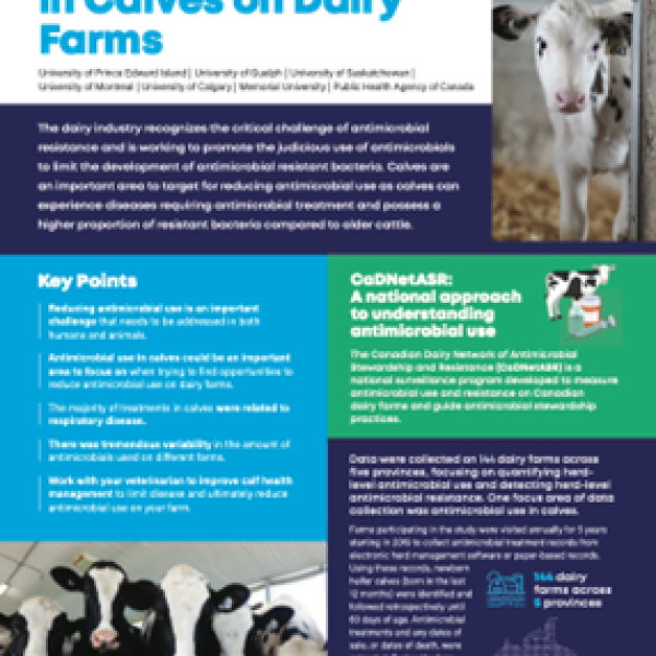 Antimicrobial Use in Calves on Dairy Farms