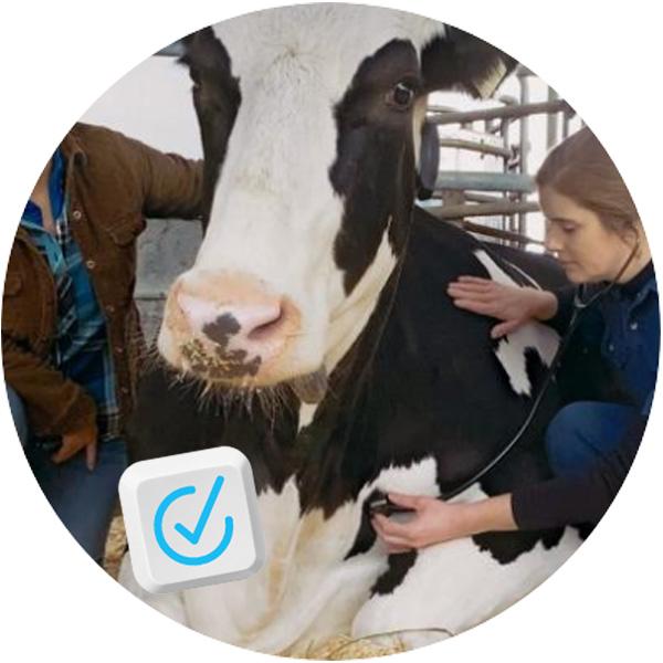 Vet checkmark