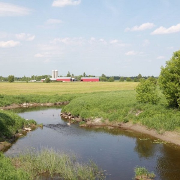 A stream near a Canadian farm