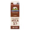 Brum's Dairy Partly Skimmed Chocolate Milk 1% M.F. 1L